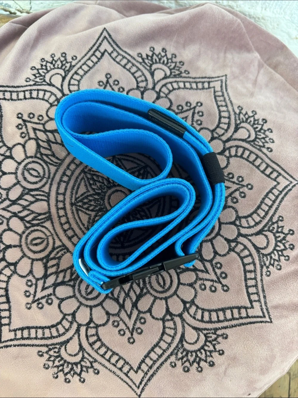 Puma Bright Blue Webbing with Black Buckle Belt